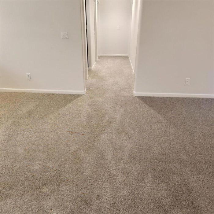 Newly installed carpet running from a living room into a hallway